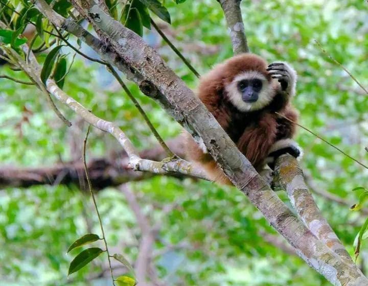 مبيت وإفطار Eco Trekking Lodge Bar & Tour S