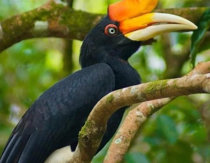 مبيت وإفطار Eco Trekking Lodge Bar & Tour S