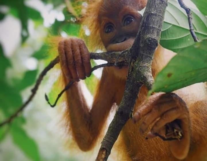 تختخواب و صبحانه Eco Trekking Lodge Bar & Tour S