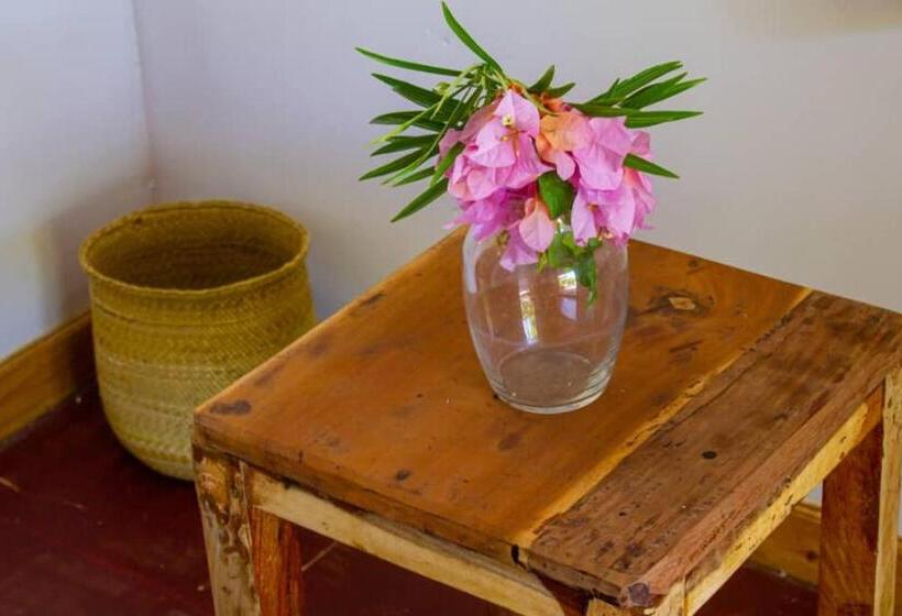 مبيت وإفطار Jambiani Wood House