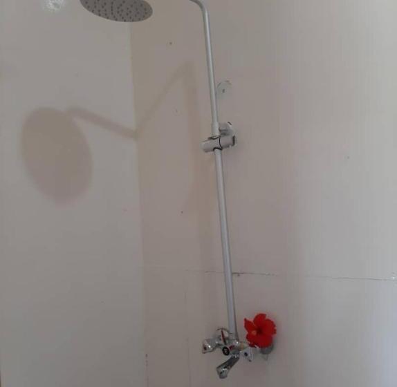 مبيت وإفطار Jambiani Wood House