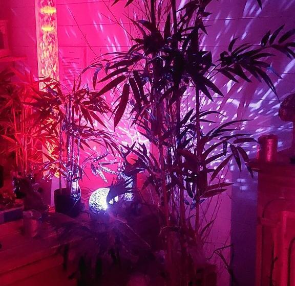 צימר La Chaumière De La Forêt Enchantée, Week End Insolite, Avec Jacuzzi Privatif Dans Espace Bien Etre