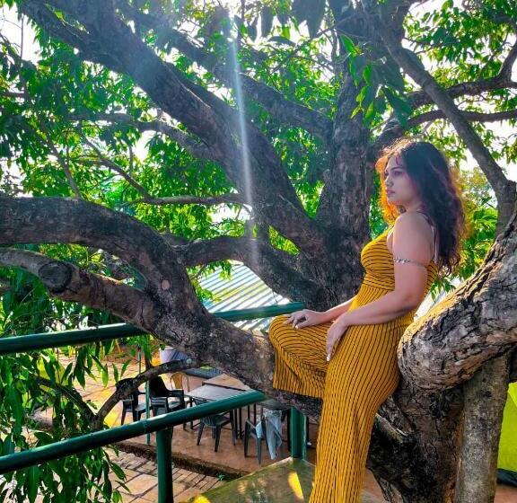 مبيت وإفطار Lakeview Resort Near Lavasa By Maharashtra Camper’s