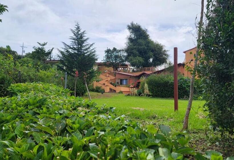 مبيت وإفطار Poas Volcano & La Paz Waterfall Cabins