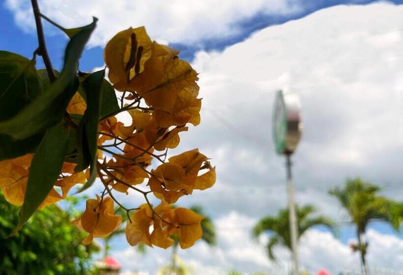 Casa Hotel Mateguadua