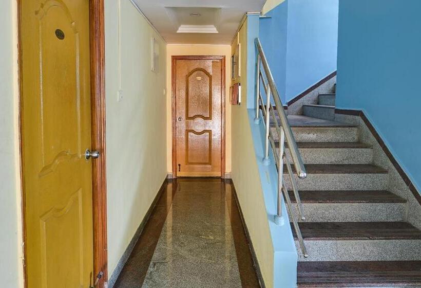 Collection O Star Hotel Tirupati