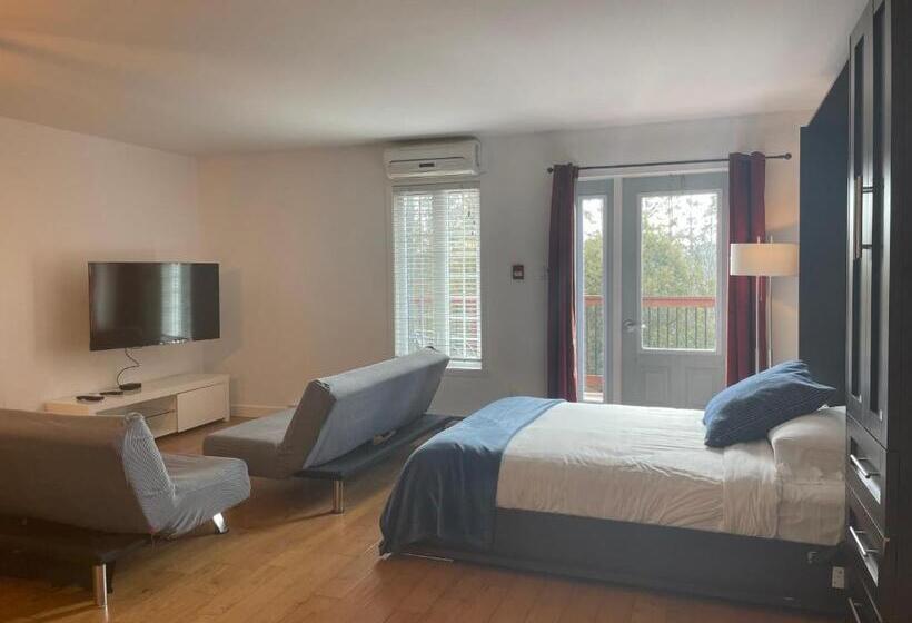 Condos Vacances Orford Studio