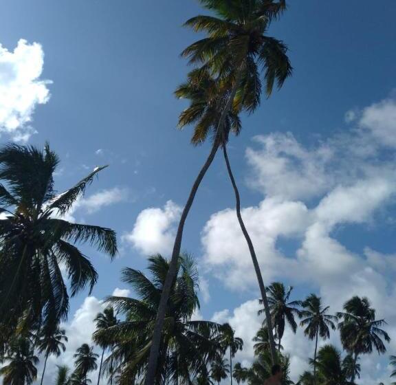 酒店 Aconchego Da Vovó Netinha