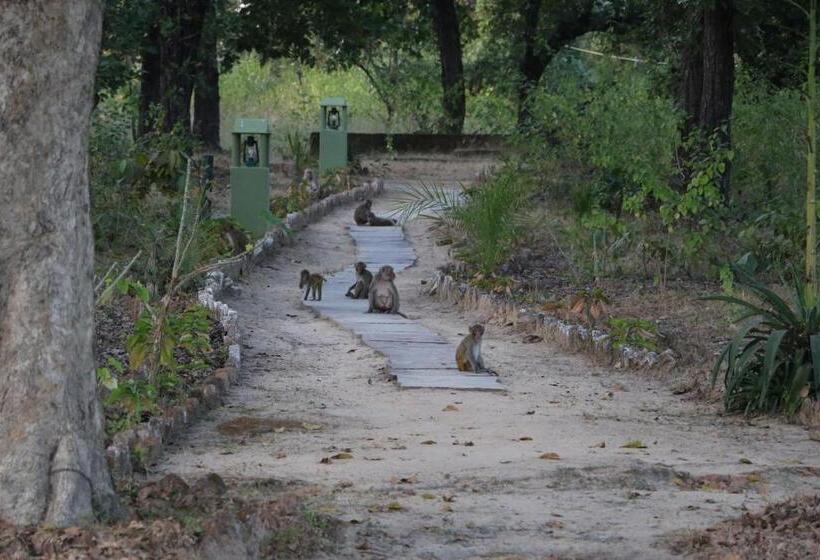 ホテル Atulya Kanchi Camp Bandhavgarh