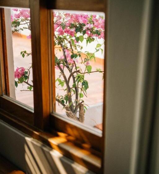 בית מלון כפרי Boutique Casa La Malagueña