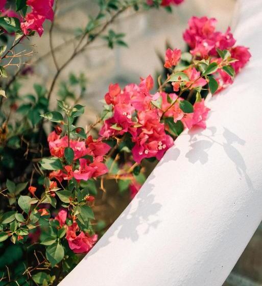 בית מלון כפרי Boutique Casa La Malagueña