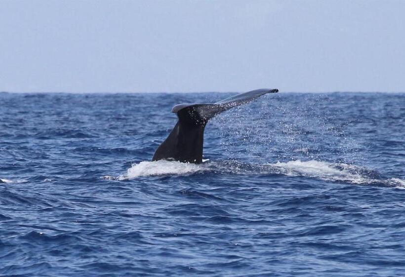 Отель Brygga Restaurant And Rooms