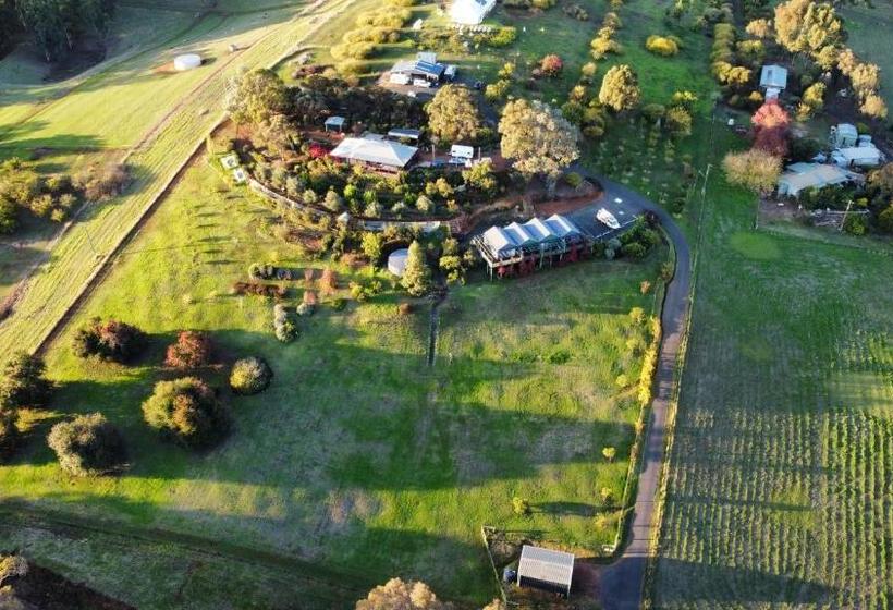 酒店 Elysian Bridgetown