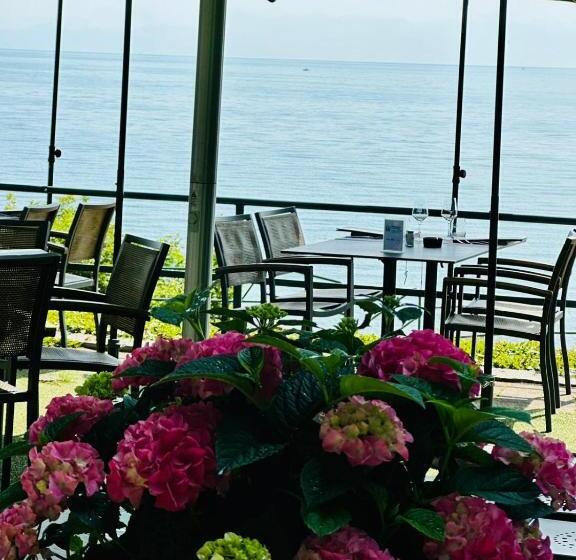 酒店 Hôtel De La Plage à Gland