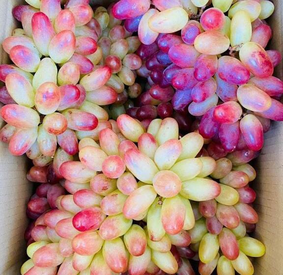 هتل Khách Sạn Hoàng Hải Ninh Thuận