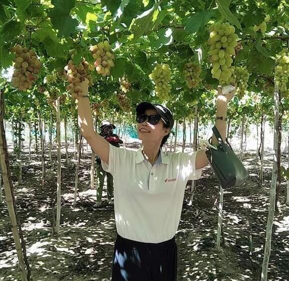 هتل Khách Sạn Hoàng Hải Ninh Thuận