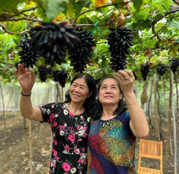 هتل Khách Sạn Hoàng Hải Ninh Thuận