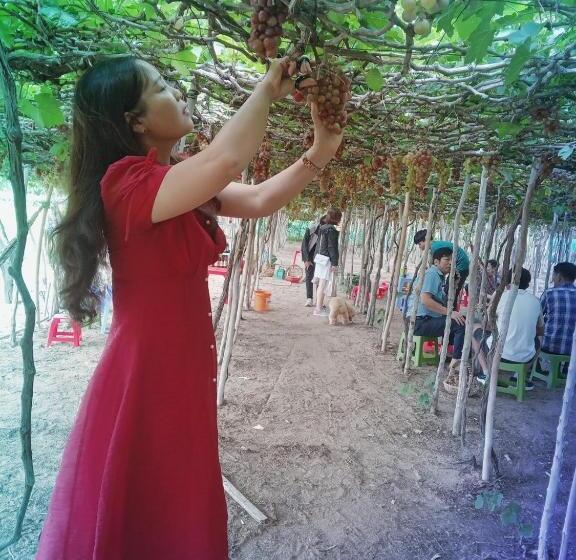 هتل Khách Sạn Hoàng Hải Ninh Thuận