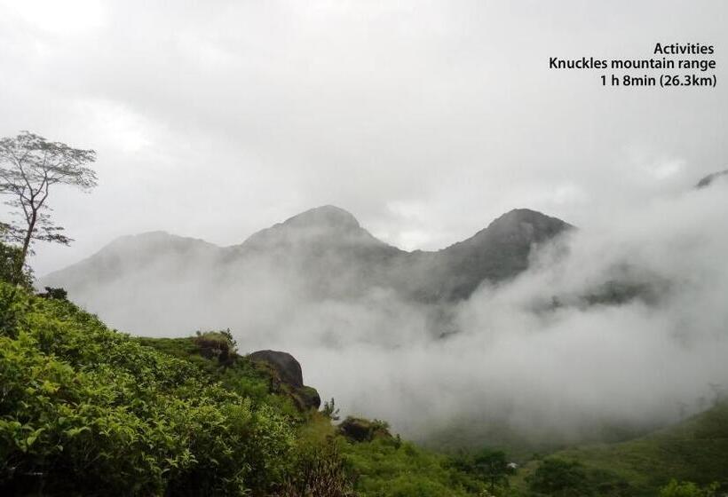 Отель Kings Green Castle Kandy