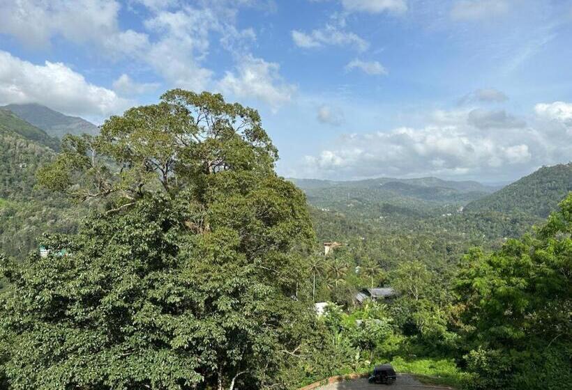 Memmsta Hotels   Munnar