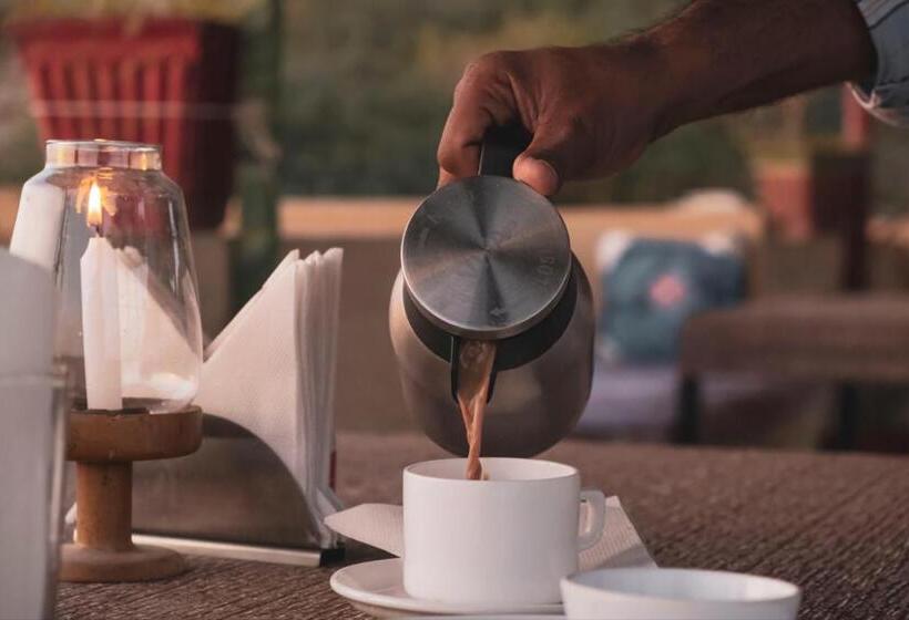 ホテル Moscow Haveli & Desert Safari