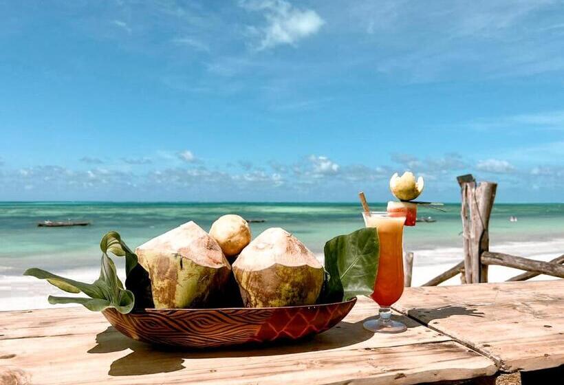 בית מלון כפרי Pili Pili Oasis