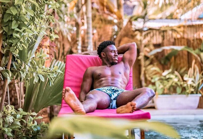 בית מלון כפרי Pili Pili Oasis