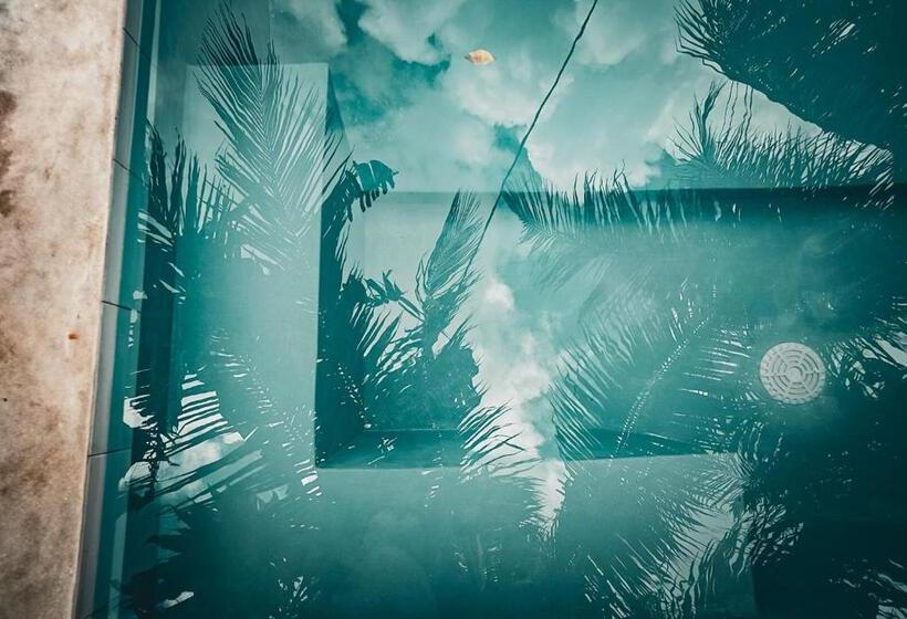 ホテル Pili Pili Oasis