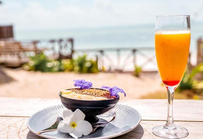 בית מלון כפרי Pili Pili Oasis