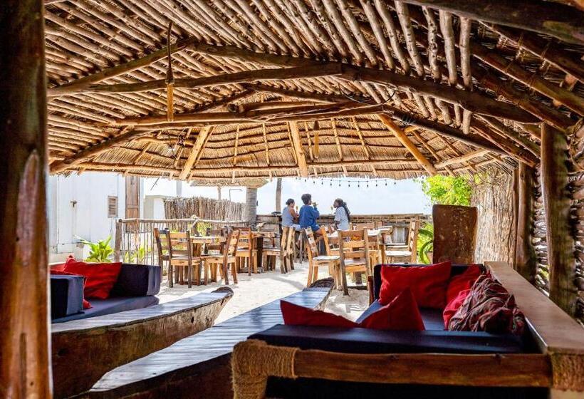 בית מלון כפרי Pili Pili Oasis