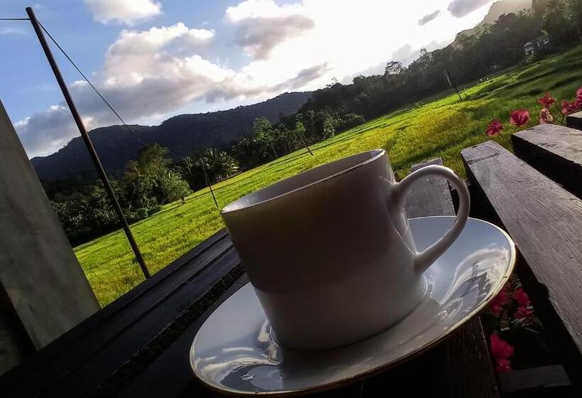 בית מלון כפרי Rain Forest Star