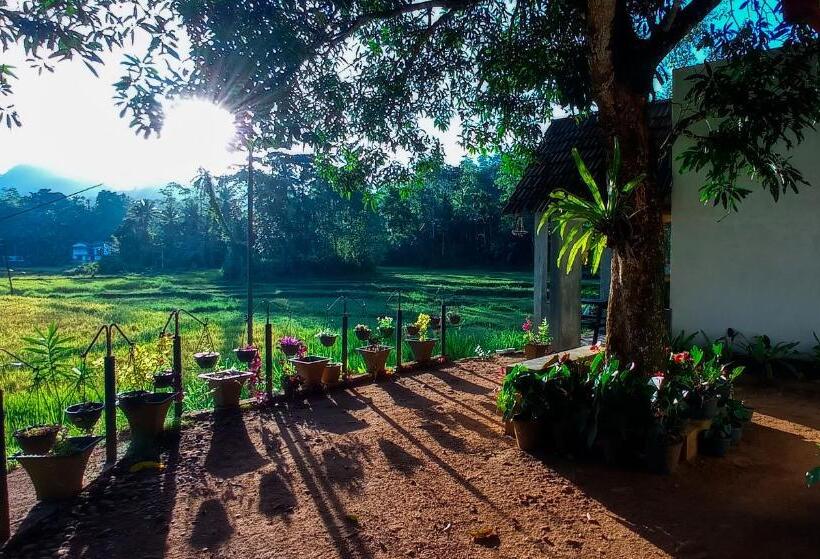 בית מלון כפרי Rain Forest Star