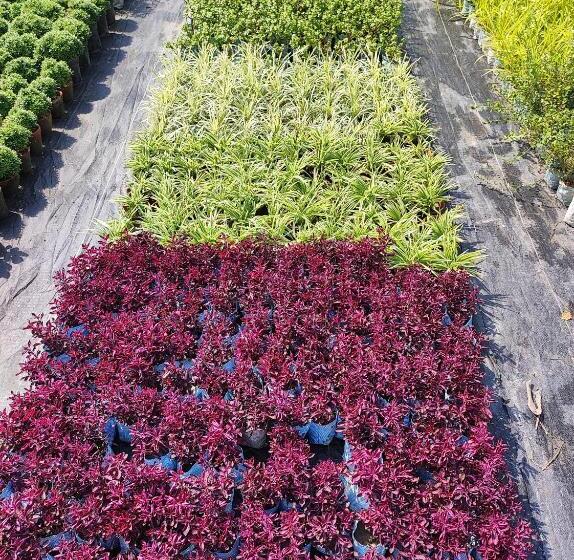 酒店 Sea Land Mondarmoni