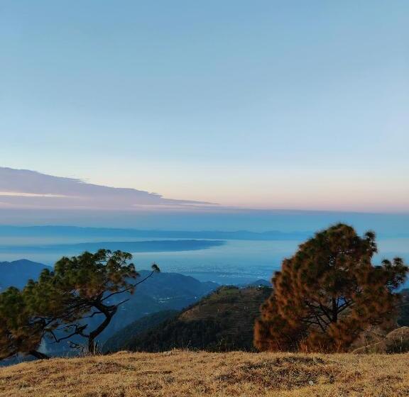 酒店 Shiva Valley Resort