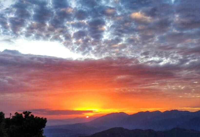 酒店 Shiva Valley Resort