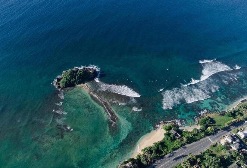 酒店 Shalza Ahangama