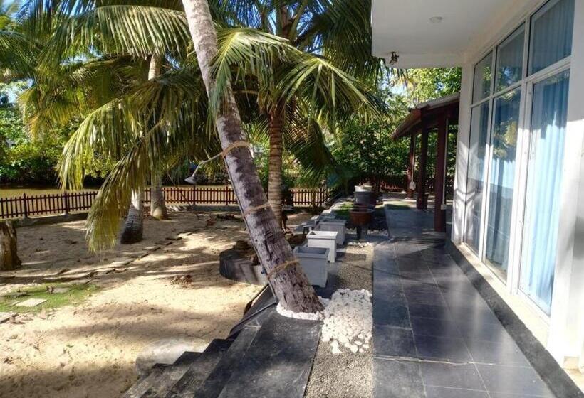 酒店 Shalza Ahangama