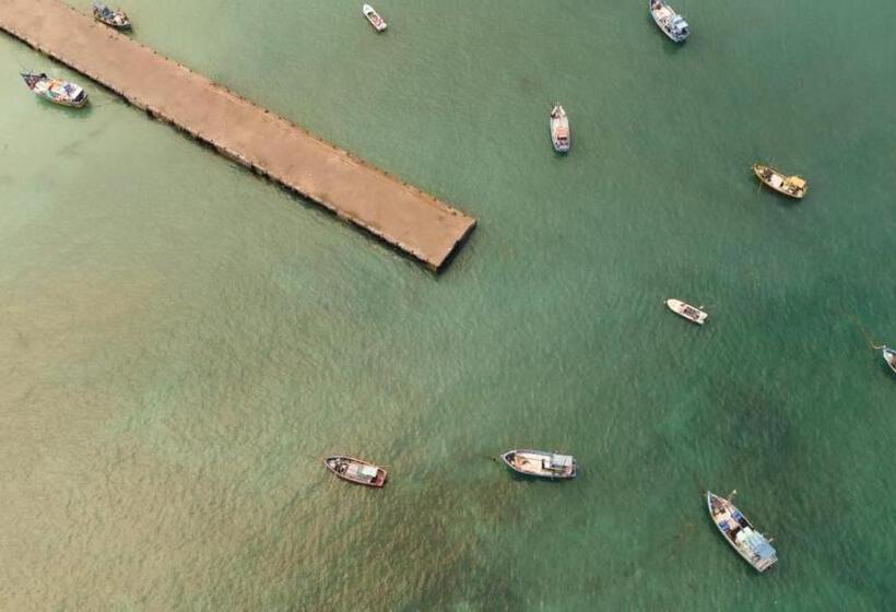 酒店 Shalza Ahangama