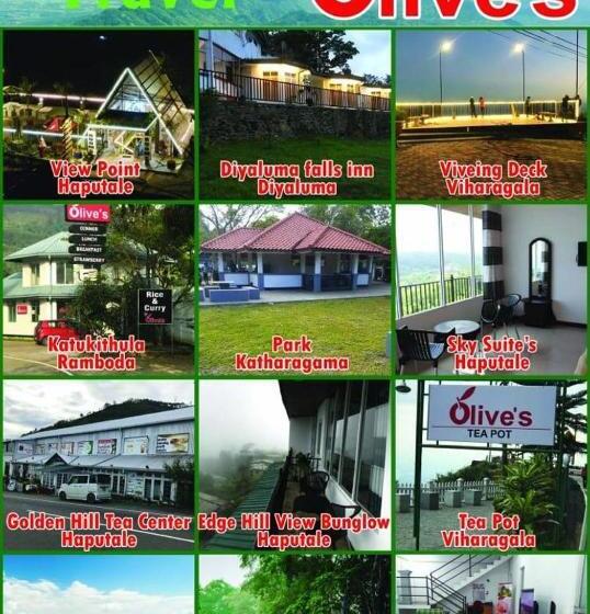 酒店 Shalza Ahangama