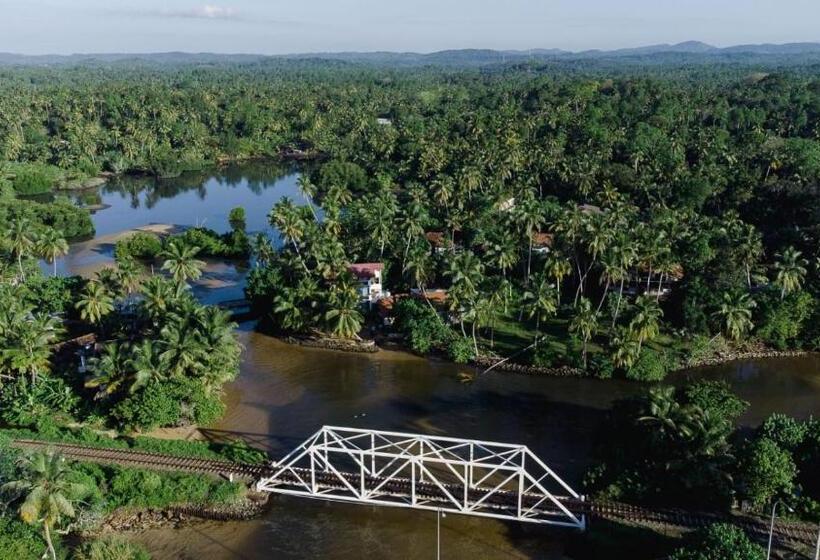 酒店 Shalza Ahangama