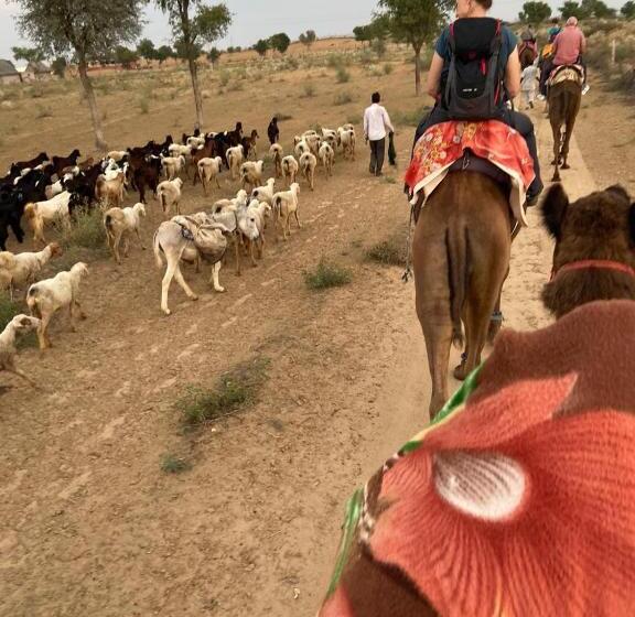 فندق Umaid Desert Camp, Raisar