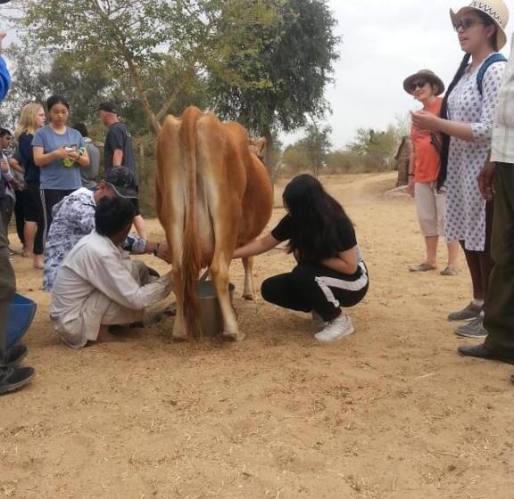 فندق Umaid Desert Camp, Raisar