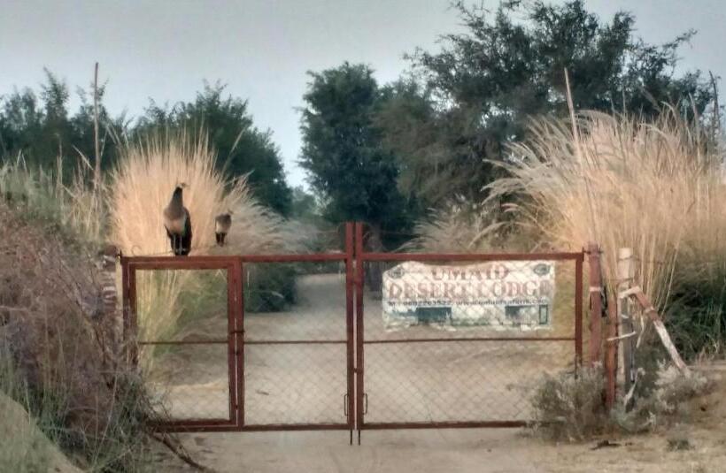 فندق Umaid Desert Camp, Raisar