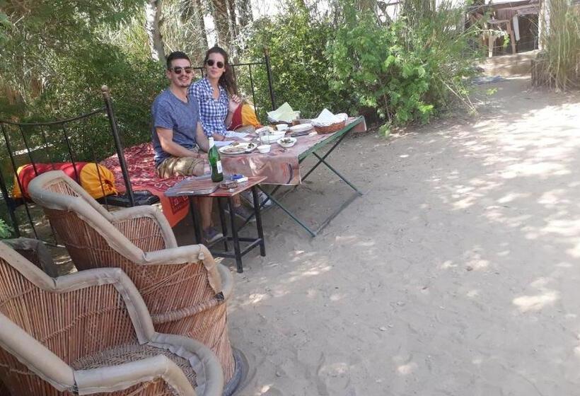 فندق Umaid Desert Camp, Raisar