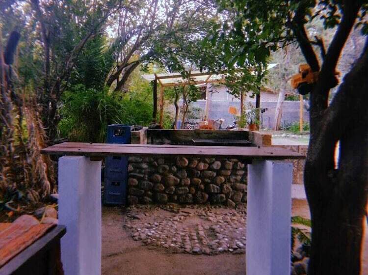 Jaracanda Hostel San Marcos