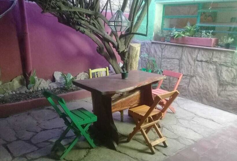 Jaracanda Hostel San Marcos