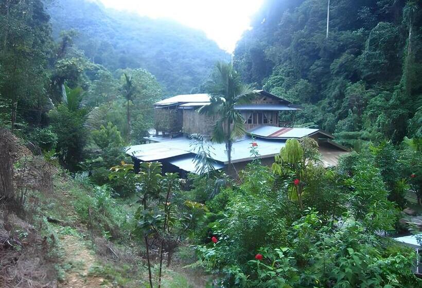 ペンション Back To Nature Ecotourism