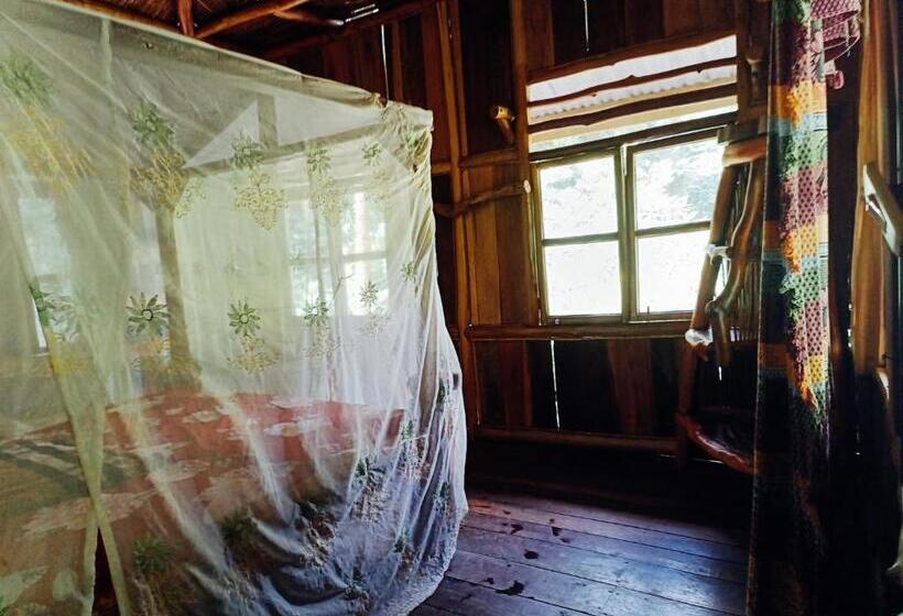 پانسیون Back To Nature Ecotourism