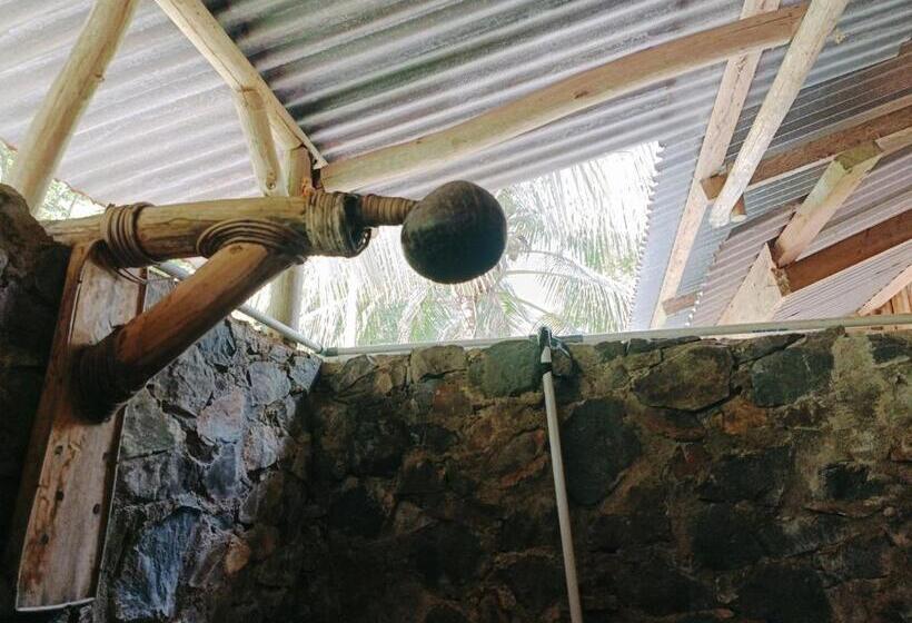 ペンション Back To Nature Ecotourism