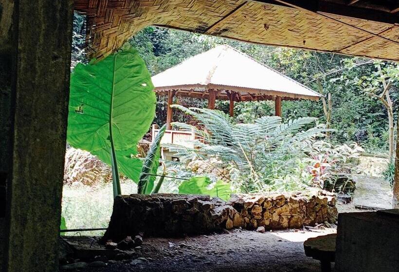 ペンション Back To Nature Ecotourism